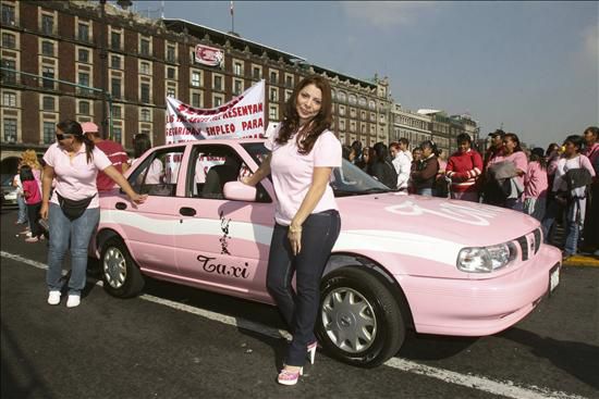 taxi bong hong 2 - “Taxi bóng hồng” – đặc quyền dành riêng cho phái đẹp